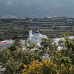 Settimana a Sifnos