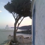 SIFNOS: perchè mi hai stregato